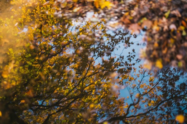 How to Recharge When You're Feeling Empty